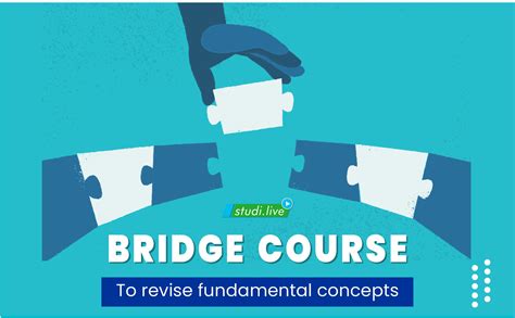 what is bridge course